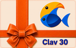 Aqua-Clav-30-t