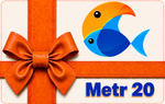 Metr 20
