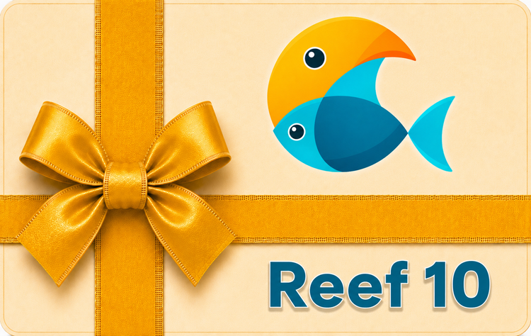 Reef 10