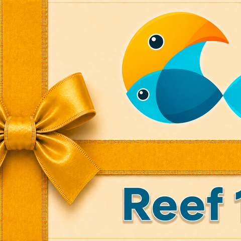 Reef 10